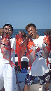 20090824_4a92700e70e0f.jpg
