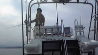 0909142.jpg