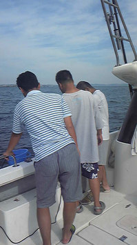 0909145.jpg