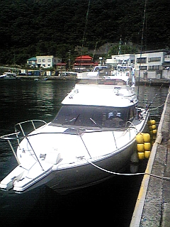 Image152.jpg